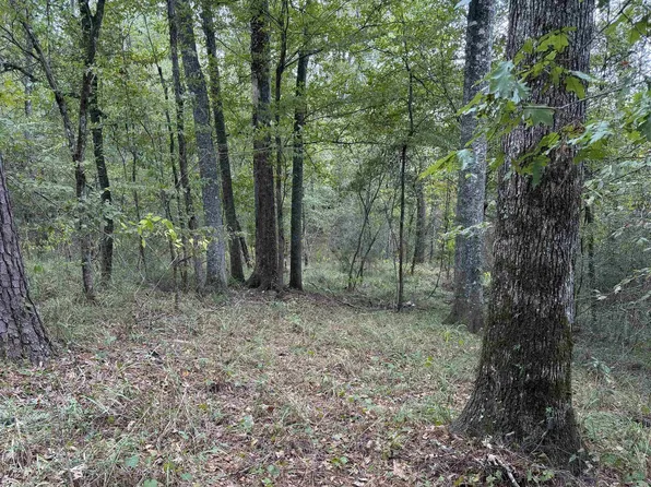Sweetwood Xing, Saint Francisville, LA 70775
