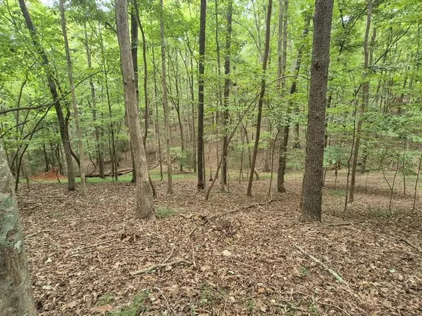 Villa Dr, Ellijay, GA 30540