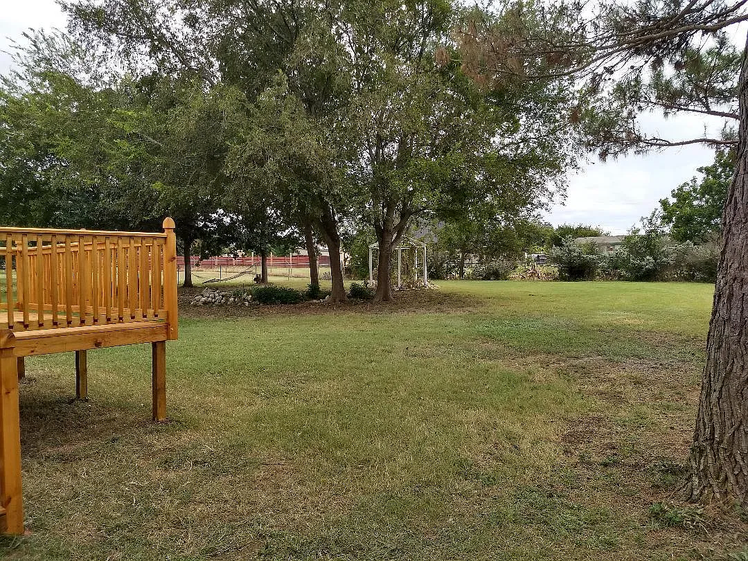5 bed, 2304 sqft, $2,350 — Photo 3