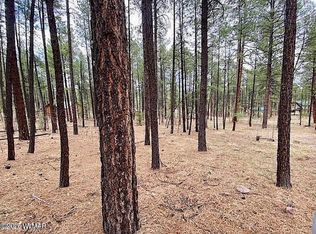 11 County Road 2135, Alpine, AZ 85920