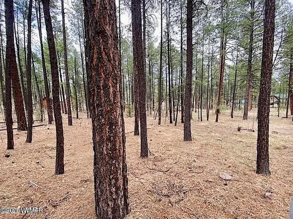 11 County Road 2135, Alpine, AZ 85920