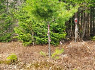 LOT 4 Daigneau Trl, Vermontville, NY 12989