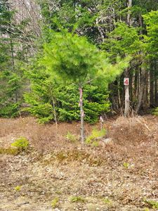 LOT 4 Daigneau Trl, Vermontville, NY, 12989