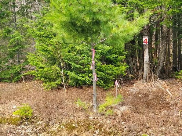 LOT 4 Daigneau Trl, Vermontville, NY 12989