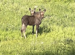 3975 Suzy Dr, Wolf Creek, MT 59648