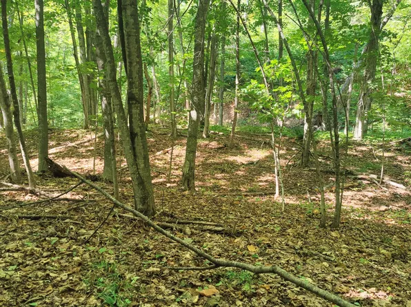 595 Wandering Woods Ct, Beaver Island, MI 49782