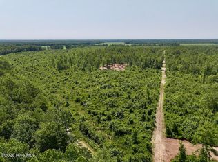 0 Guinea Mill Rd LOT 20, Ernul, NC 28527