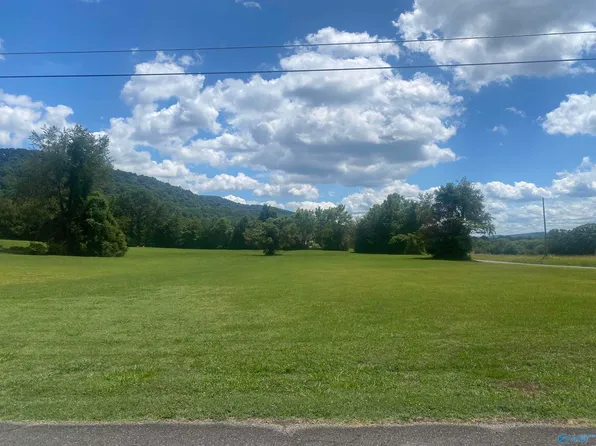 LOT 10 Martin Ave NE, Fort Payne, AL 35967
