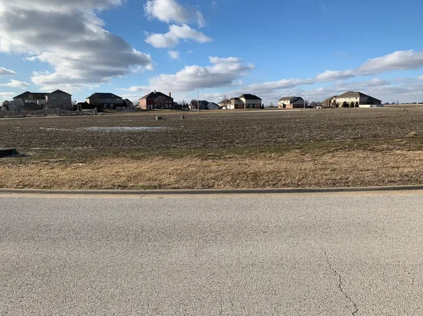 525 Diamond Dr, Manteno, IL 60950