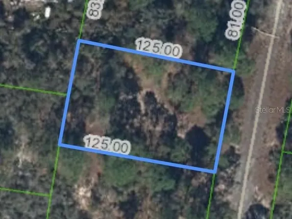 320 Blue Heaven Dr Lot 17, Lake Placid, FL 33852