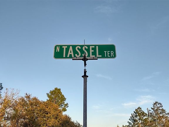 4th image of 6684 N Tassel Ter