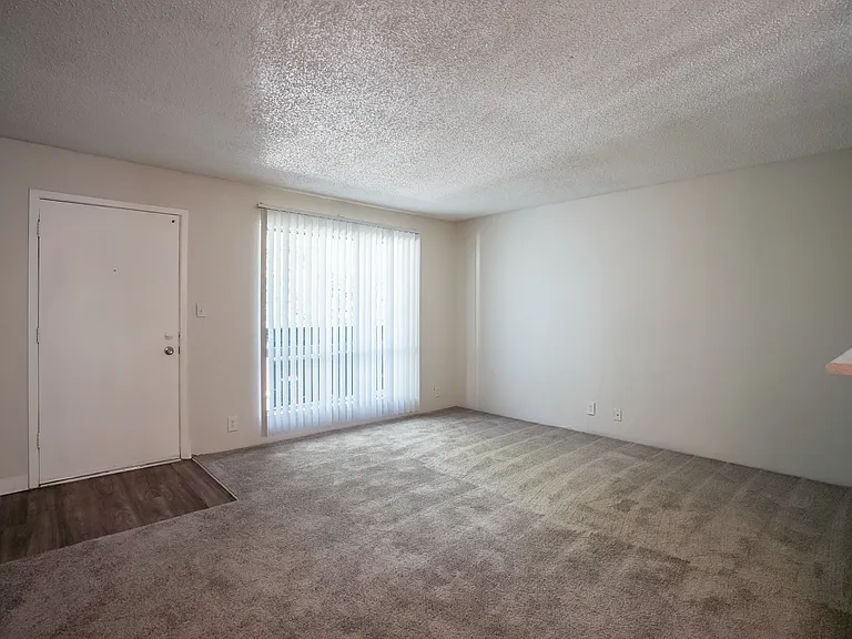 Fresh Carpeting - Front Entrance & Living Room - Gold Interior