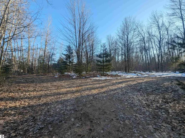 N/a W Sun Oil Rd, Gladwin, MI 48624