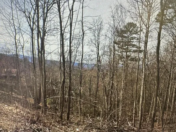 1921 Battle Top Rd Lot 665, Sevierville, TN 37876