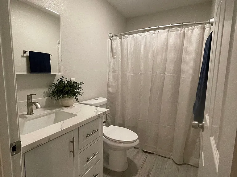 Bathtub Shower