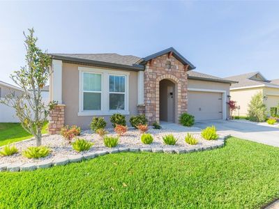 33103 Frogs Leap Ln, Wesley Chapel, FL, 33545