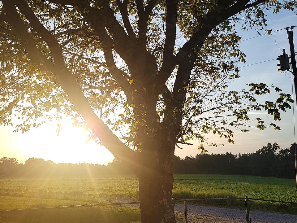 A view from the front porch