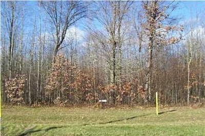 2nd image of 20945 Blue Fox Way #24
