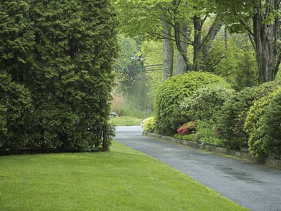 View of Five Mile River
