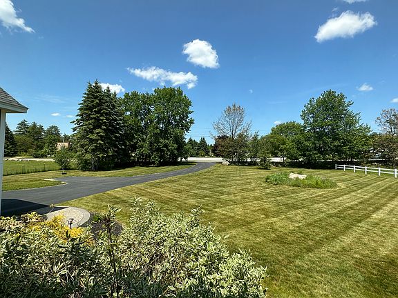 Front Yard & Driveway