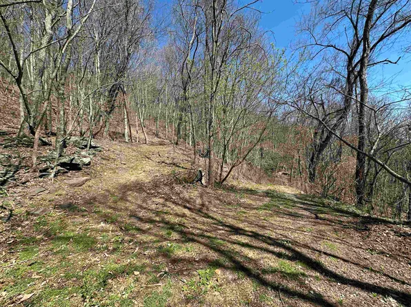 Mountain Lake Rd, Newport, VA 24128