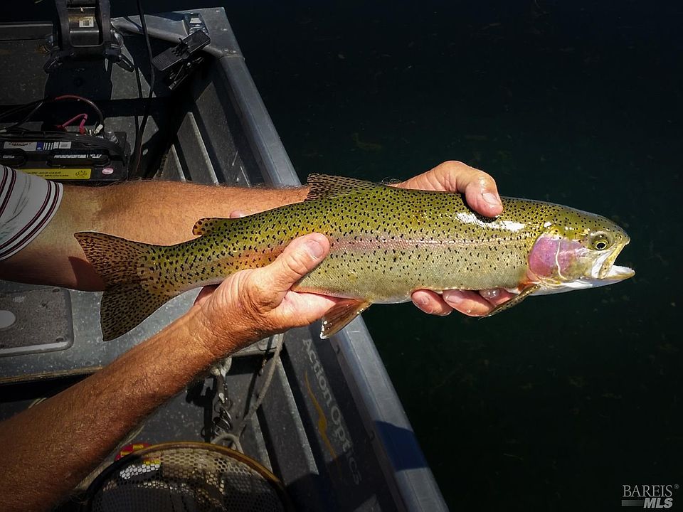 42369 Horr Rd, Mcarthur, CA 96056 MLS 323035382 Zillow