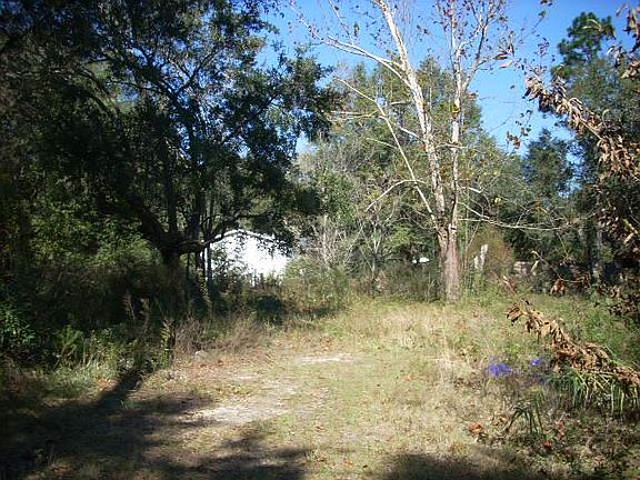 3rd image of 0 Ernie Newton Dr