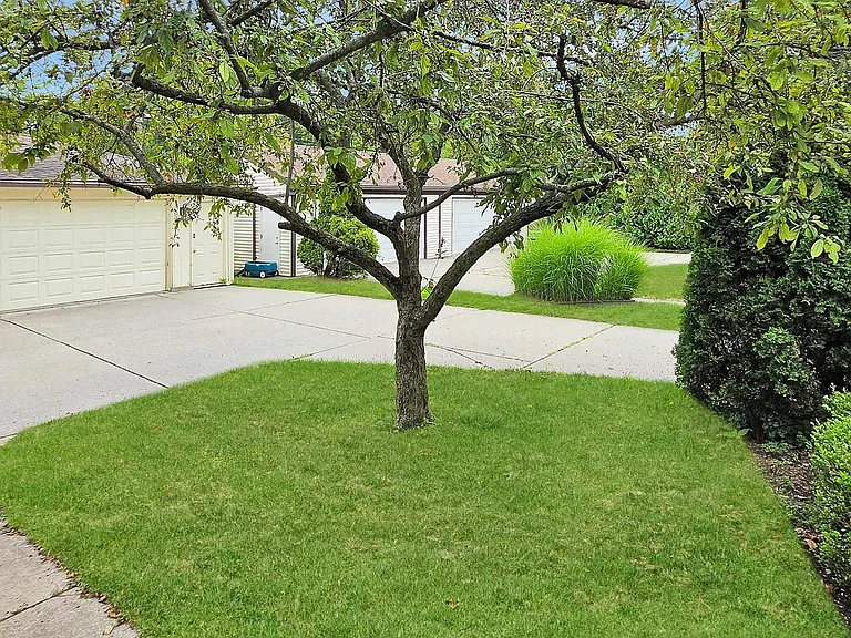 856 Neff Rd — Photo 4