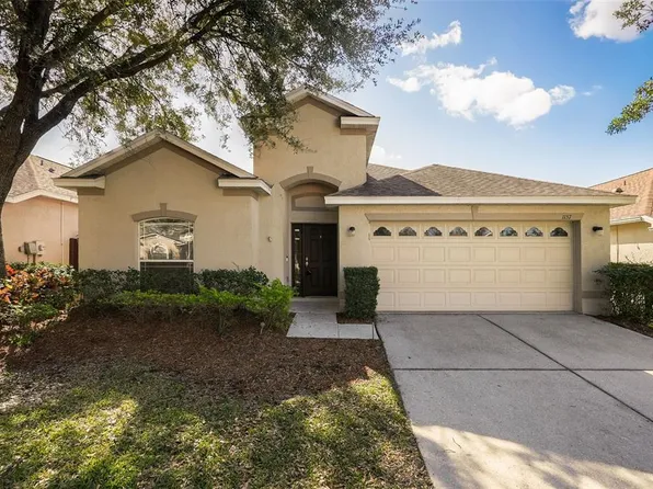 1157 Emerald Hill Way, Valrico, FL 33594