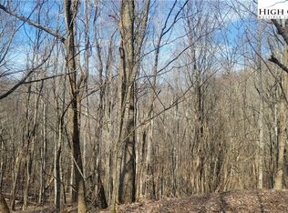 Tbd Fork Ridge Rd, Zionville, NC 28698