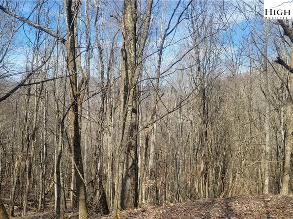 TBD Fork Ridge Road, Zionville, NC 28698