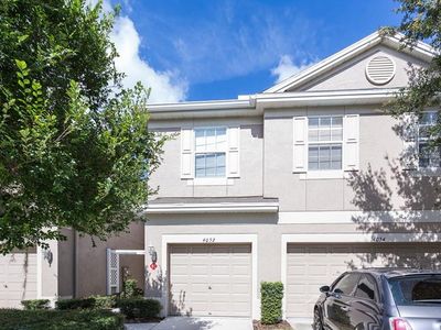 4052 Bismarck Palm Dr, Tampa, FL, 33610