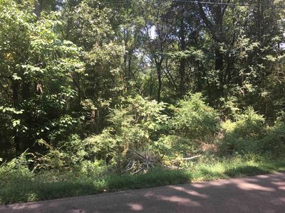 0 Millington Arlington Rd, Arlington, TN, 38002