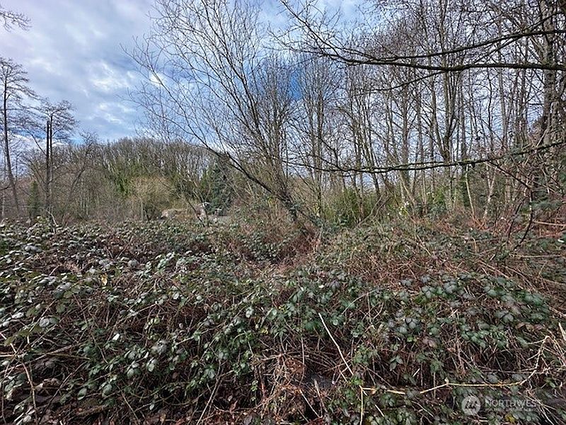3rd image of 123 47th Avenue S
