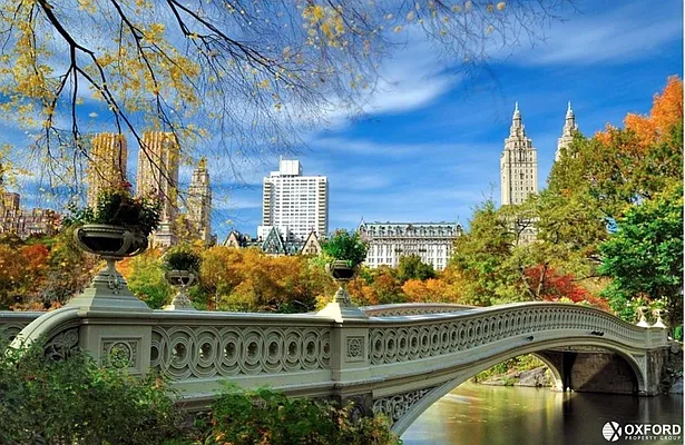 Sold by Oxford Property Group | media 28