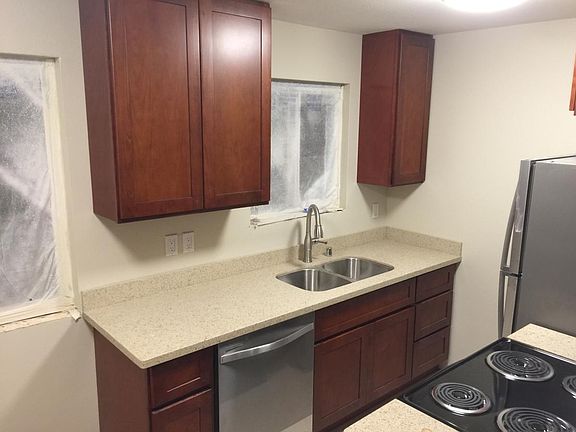 Brushed nickel pull out faucet and SS dishwasher