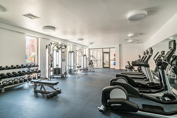 Rented by Lisa Management | media 12