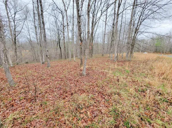 0 Oakwood Trl Lot 33, Mc Ewen, TN 37101