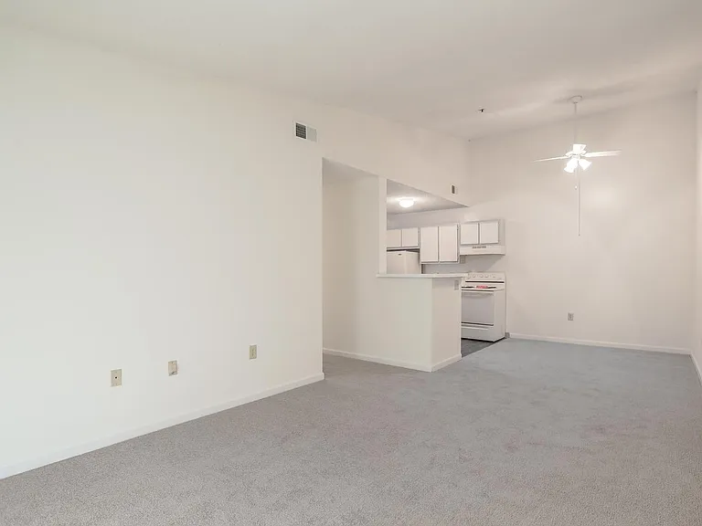 4250 Branch Bend Ln — Photo 9