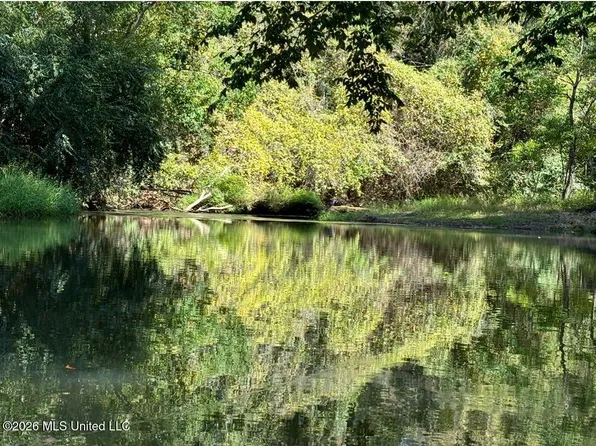 Hamp Lea Rd, Magnolia, MS 39652