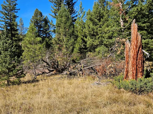 12 & 19 Elk Trail Loop, Lincoln, MT 59639