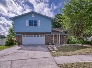 2624 Giant Pl, Seffner, FL 33584