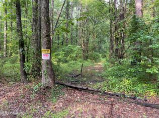 0 Haynes Chapel Rd, Pelahatchie, MS 39145