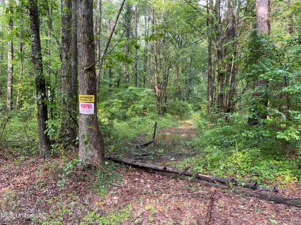 0 Haynes Chapel Rd, Pelahatchie, MS 39145