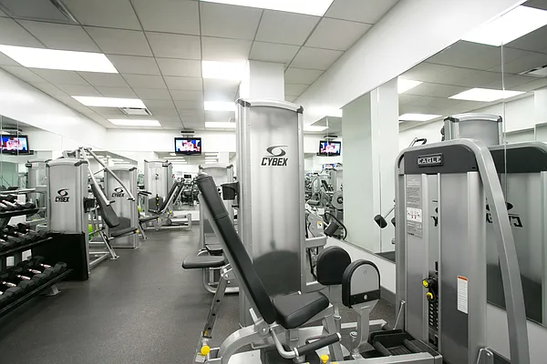 Rented by The Monterey | media 34