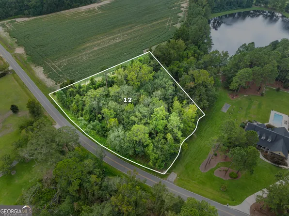 0 Miller Street Ext Lot 17, Statesboro, GA 30458