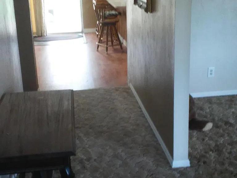 Gale Rd — Photo 6