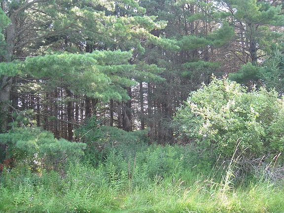 2nd image of LOT 4 Hainesville Rd