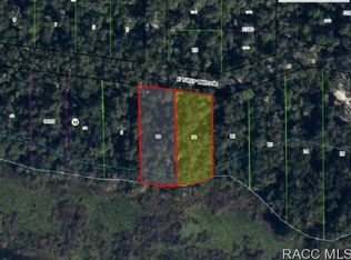 9782 E Tuliptree Dr, Inverness, FL 34450