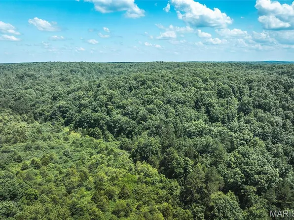 0 Highway B #51, Ellington, MO 63638